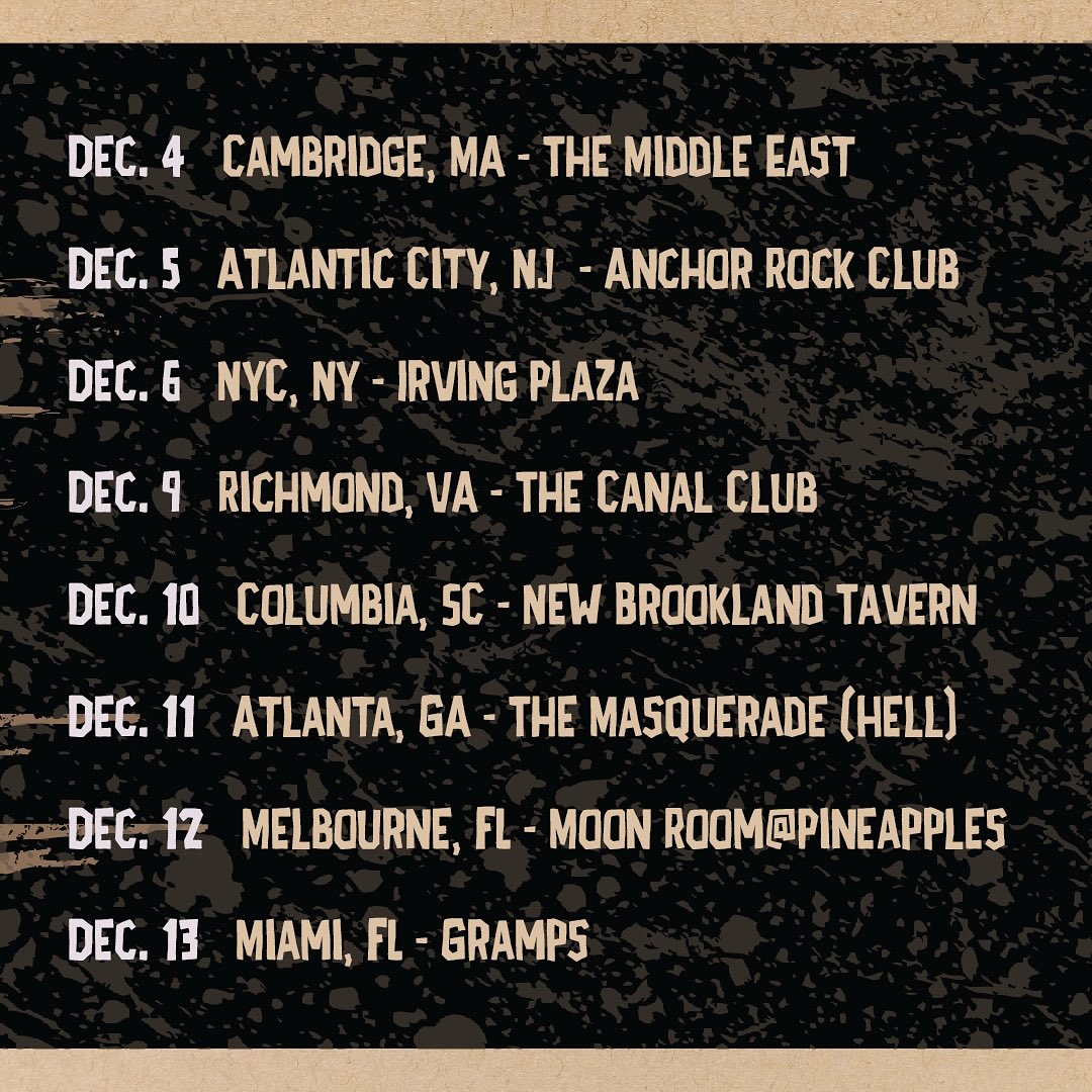 Violent Way Tour Poster 2025